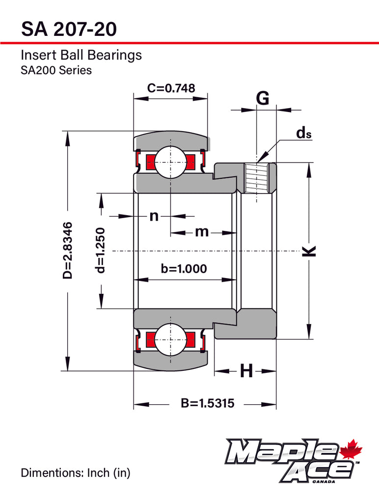 SA207-20G Insert Bearing 1-1/4in Bore Re-lube w/Eccentric Locking Collar